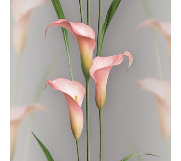 обои Andrea Rossi Gorgona 54139-10