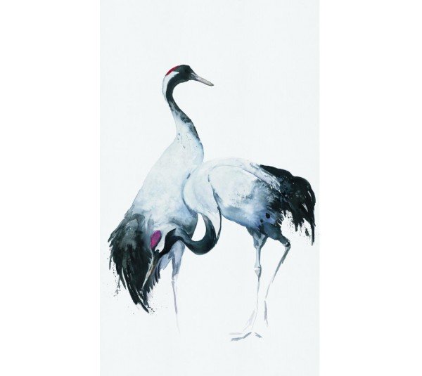 обои Marburg  Otaru 34596