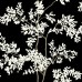 обои York Blooms Second Edition BL1804