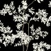 обои York Blooms Second Edition BL1804