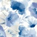 обои York Blooms Second Edition BL1773