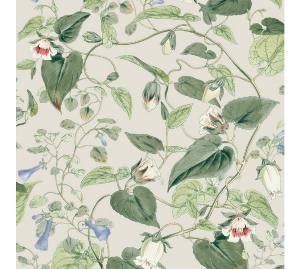 обои York Blooms Second Edition BL1713