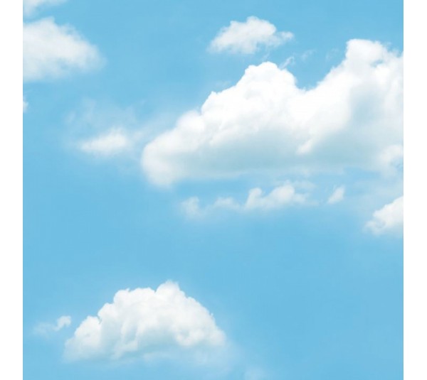 обои Shinhan Natural 88421-2