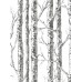 обои York Black&White Resource Library BW3902