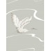 обои York Black&White Resource Library BW3872