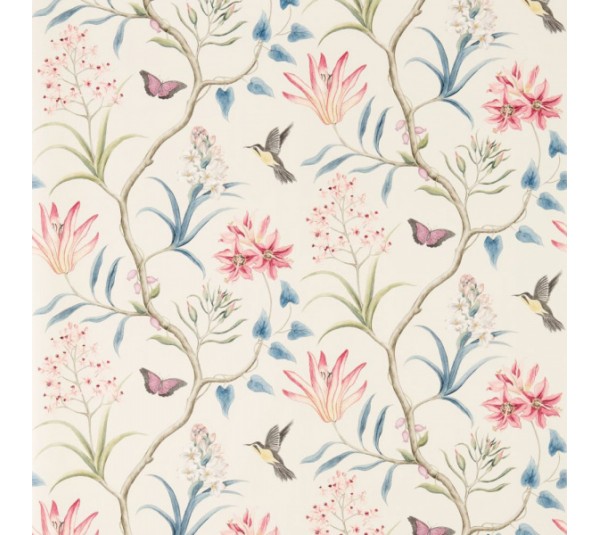 обои Sanderson Curios  213387