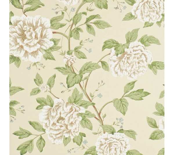 обои Sanderson Pemberley Collection DPEMPT103 обои Sanderson Pemberley Collection DPEMPT103