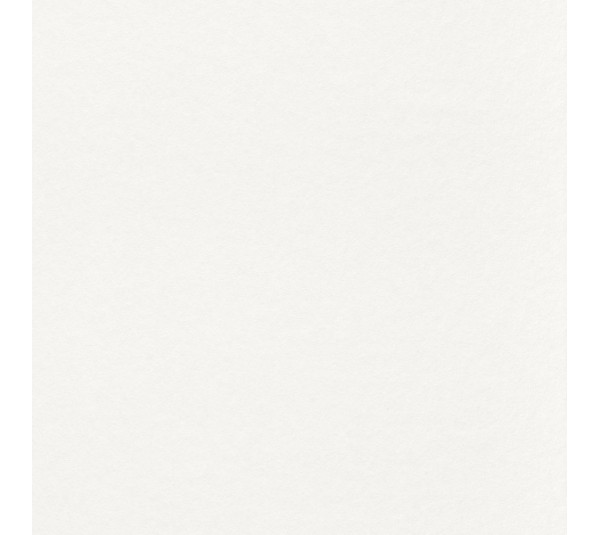 обои Rasch Wallton 116601