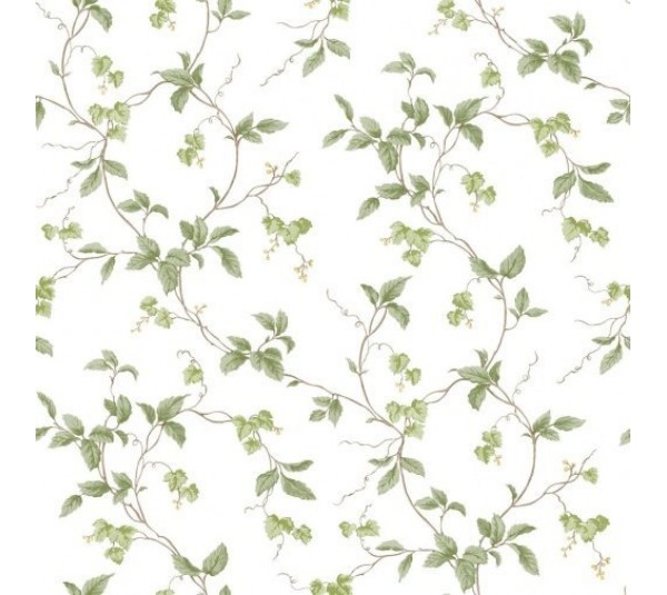 обои Aura Gourmet Tour II G12265