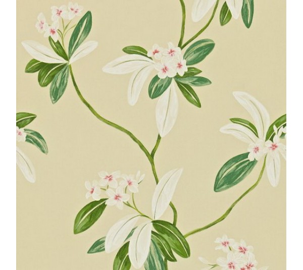 обои Sanderson Richmond Hill DRCH212130