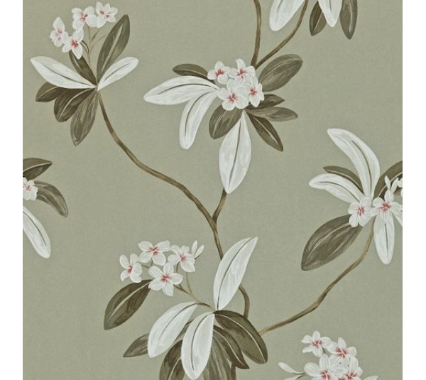 обои Sanderson Richmond Hill DRCH212132