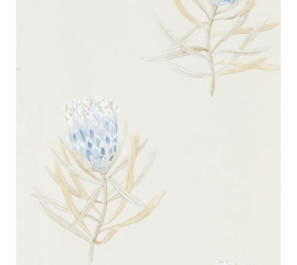 обои Sanderson Curios  216327