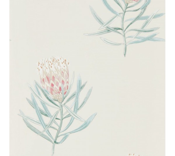 обои Sanderson Curios  216330