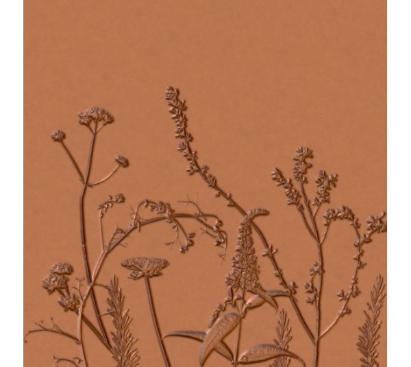 обои Casadeco Natura NTRA83932485