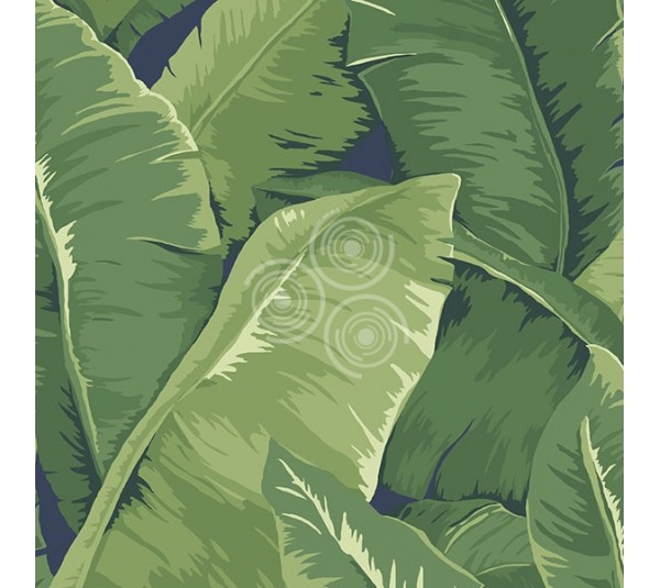 обои Jaima Brown Charleston Home JB50712