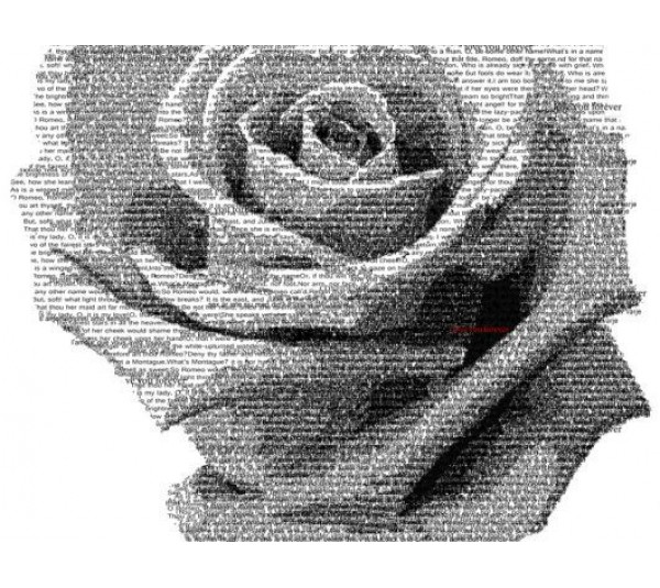 обои Eco Wallpaper Renaissance  2228