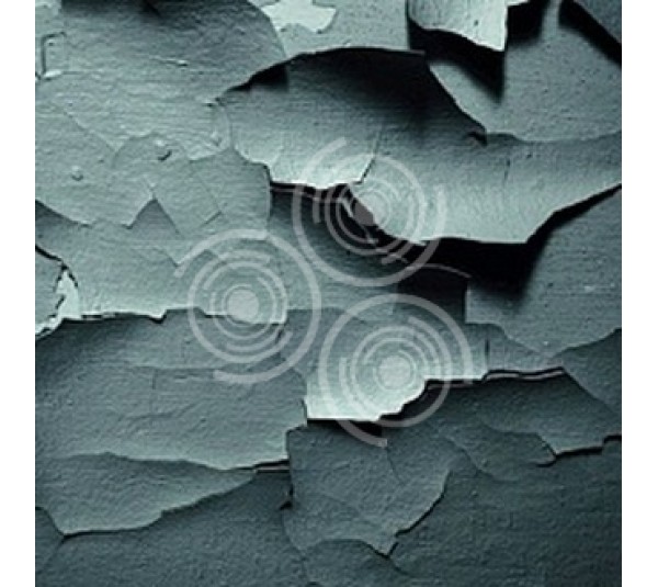 обои Carl Robinson Edition 4 CB42300M