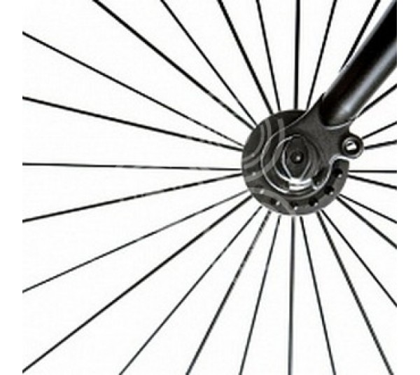 обои Carl Robinson Edition 4 CB44600M