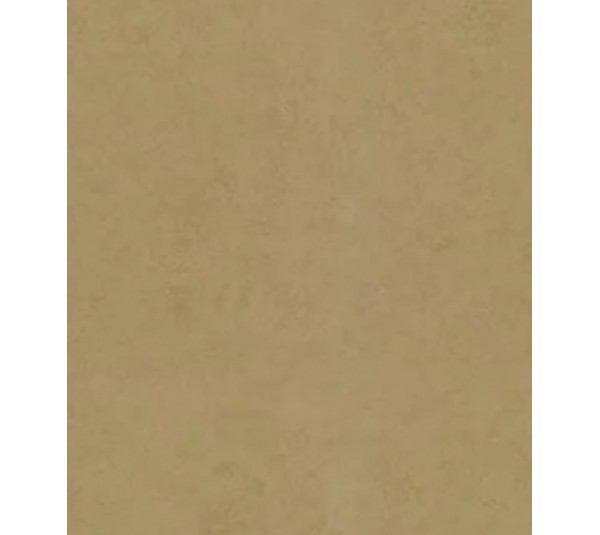 обои Marburg  Terra  34631