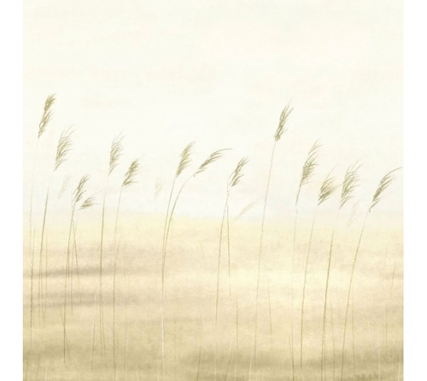 обои Casadeco Sentier Des Dunes 200082704