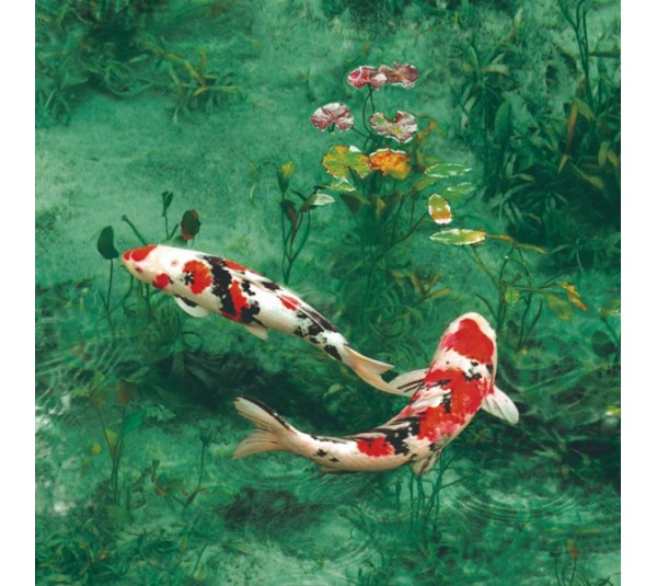 обои Shinhan Natural 88635-1