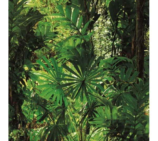 обои Shinhan Natural 88639-1