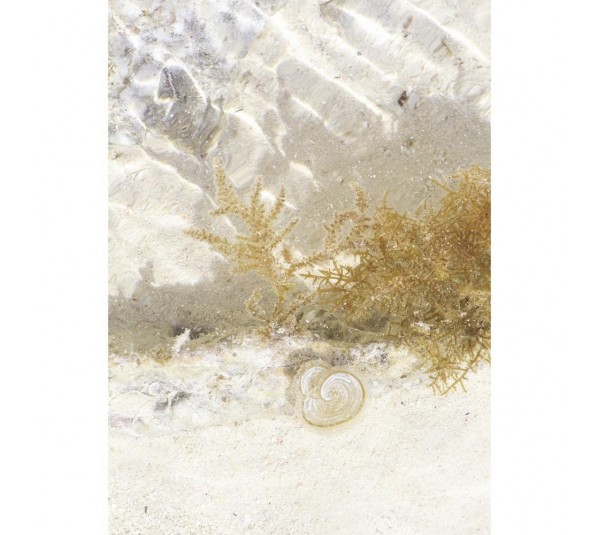 обои Casadeco Rivage RIVG84251526 обои Casadeco Rivage RIVG84251526