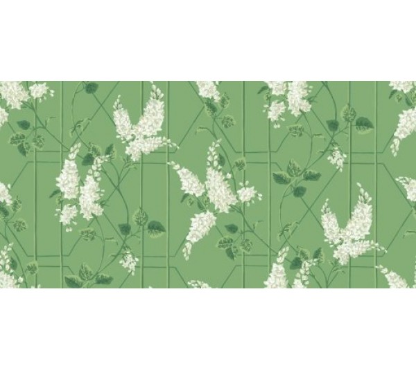 обои Cole & Son Botanical 115-5016