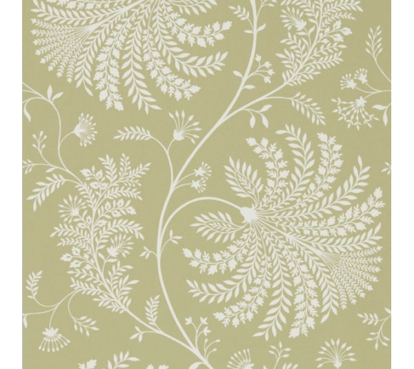 обои Sanderson Curios  216340