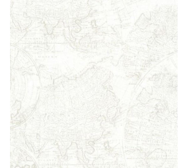 обои Aura Handsome FD21237