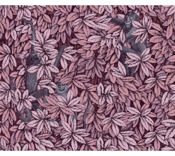 обои Cole & Son Fornasetti Senza Tempo 2 123-10048