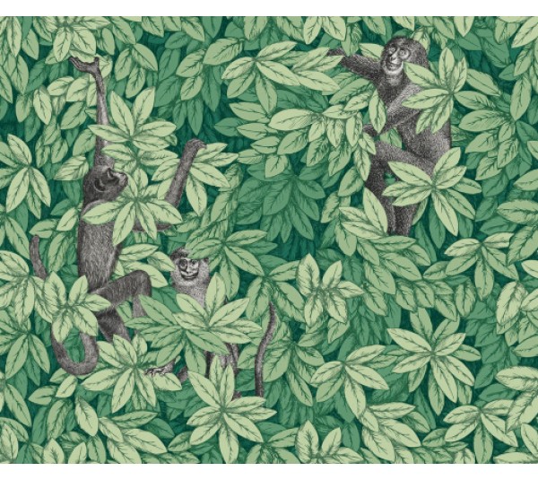 обои Cole & Son Fornasetti Senza Tempo 2 123-10049