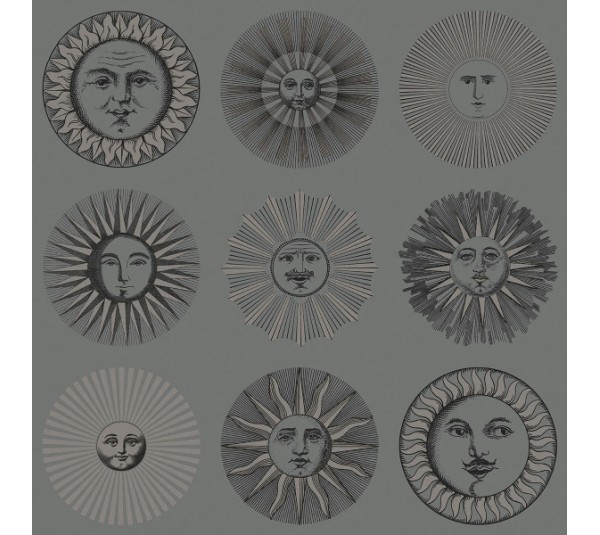 обои Cole & Son Fornasetti Senza Tempo 2 123-1003