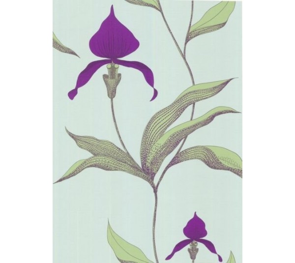 обои Cole & Son Contemporary 66-4027