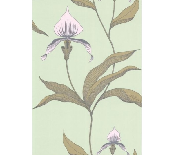 обои Cole & Son Contemporary 66-4028