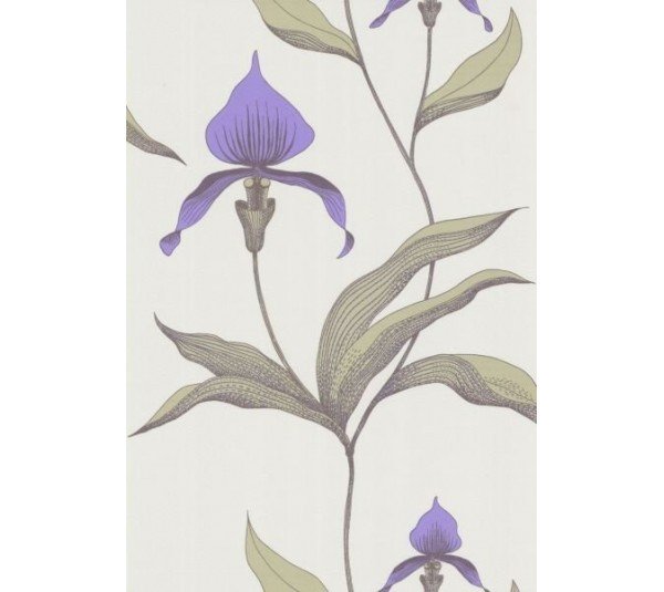 обои Cole & Son Contemporary 66-4024