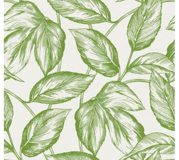 обои Seabrook Summer House SC20004