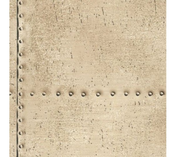 обои Aura Handsome FD21254