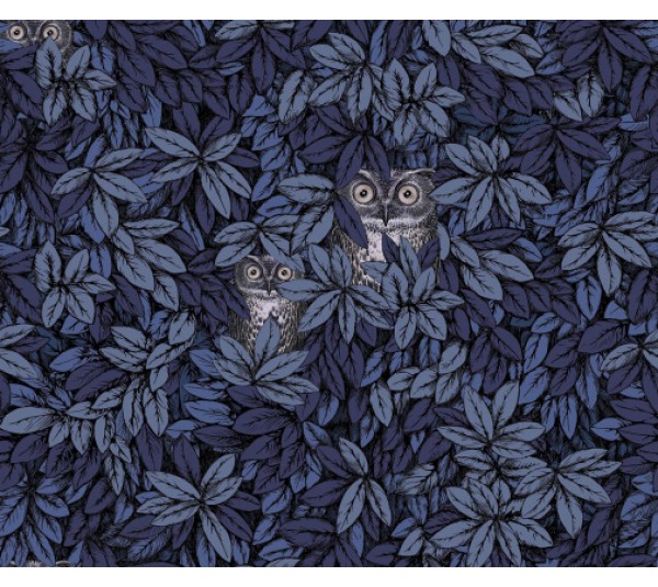 обои Cole & Son Fornasetti Senza Tempo 2 123-11053