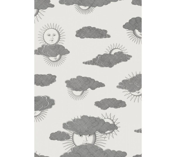 обои Cole & Son Fornasetti Senza Tempo 2 123-2007
