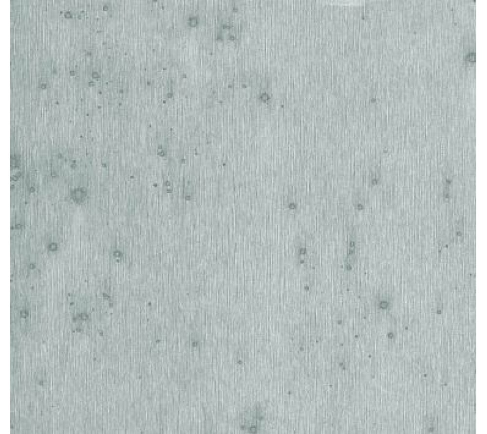 обои Arte Metal X 2017  37502