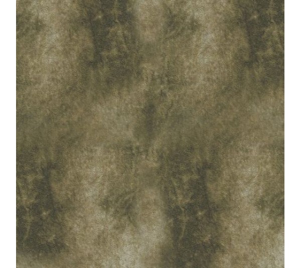 обои Emiliana Parati Roberto Cavalli home 2 RC13047