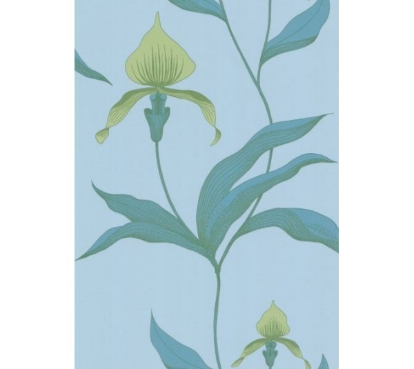 обои Cole & Son Contemporary 66-4029