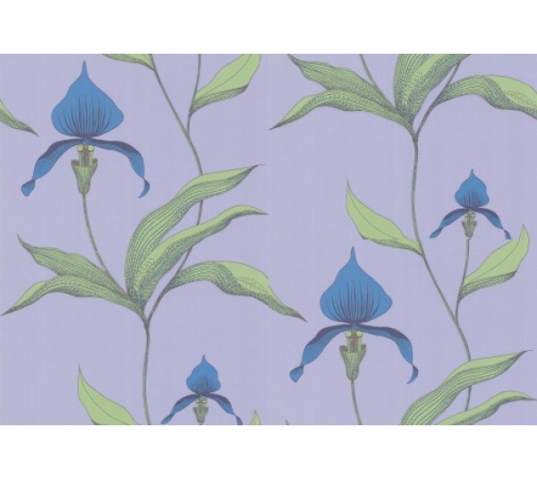 обои Cole & Son Contemporary 66-4031