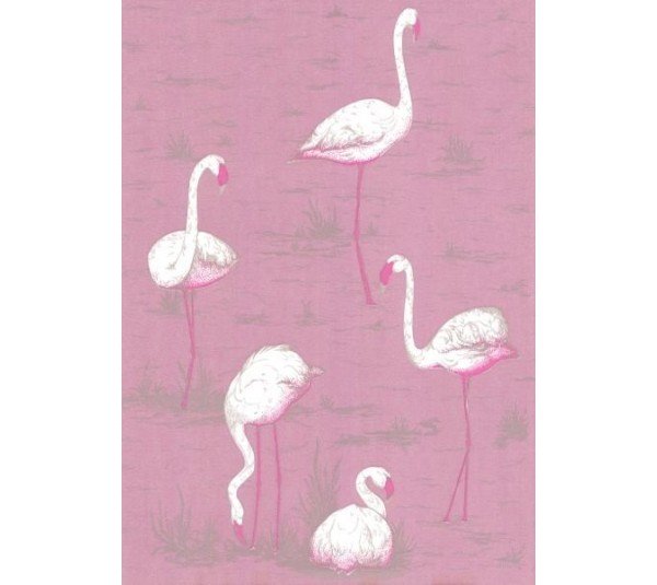 обои Cole & Son Contemporary 66-6043