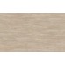 обои Rasch Ascona 979145