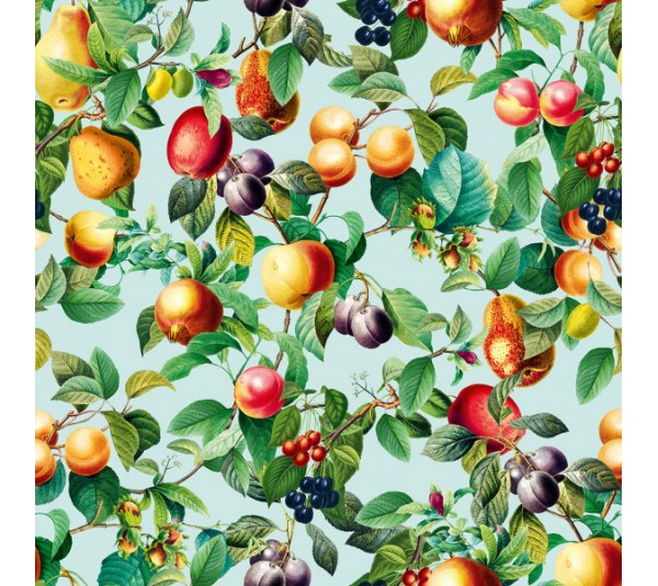 обои Marburg  Gloockler Pompoos Provence 35633