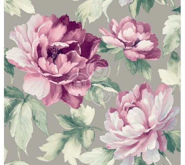 обои Carl Robinson Edition 9 cb90009