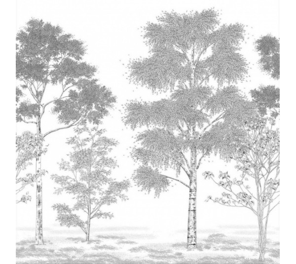 обои Caselio Balade 106169006