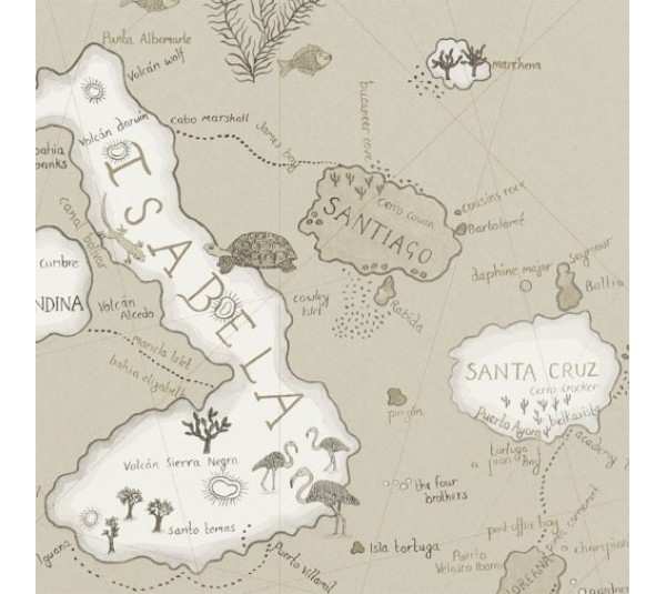 обои Sanderson Voyage of Discovery Wallpapers DVOY213365